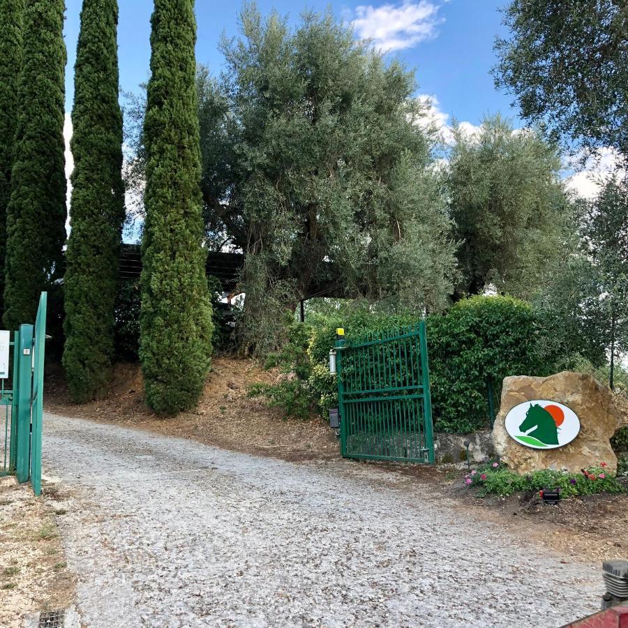 Agriturismo Poggio Del Drago Монтемерано Экстерьер фото