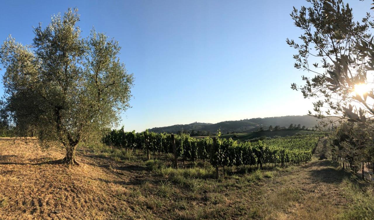 Agriturismo Poggio Del Drago Монтемерано Экстерьер фото