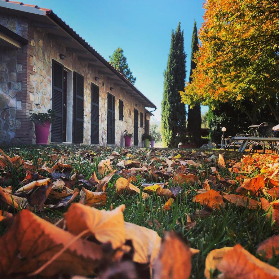 Agriturismo Poggio Del Drago Монтемерано Экстерьер фото