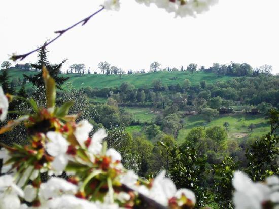 Agriturismo Poggio Del Drago Монтемерано Экстерьер фото