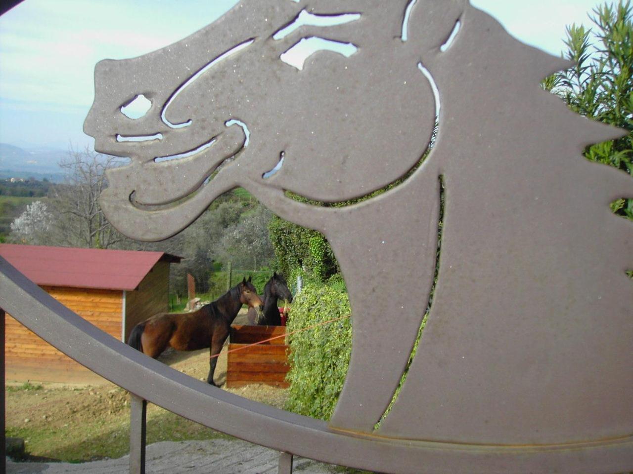 Agriturismo Poggio Del Drago Монтемерано Экстерьер фото