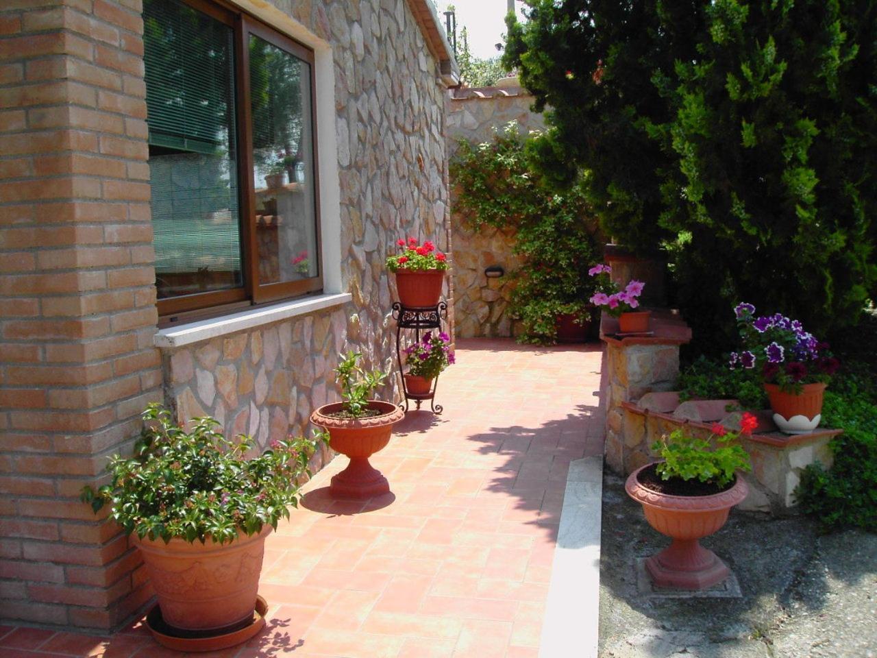 Agriturismo Poggio Del Drago Монтемерано Экстерьер фото