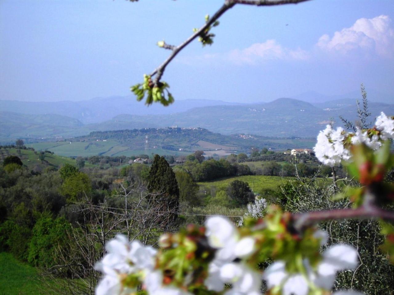 Agriturismo Poggio Del Drago Монтемерано Экстерьер фото