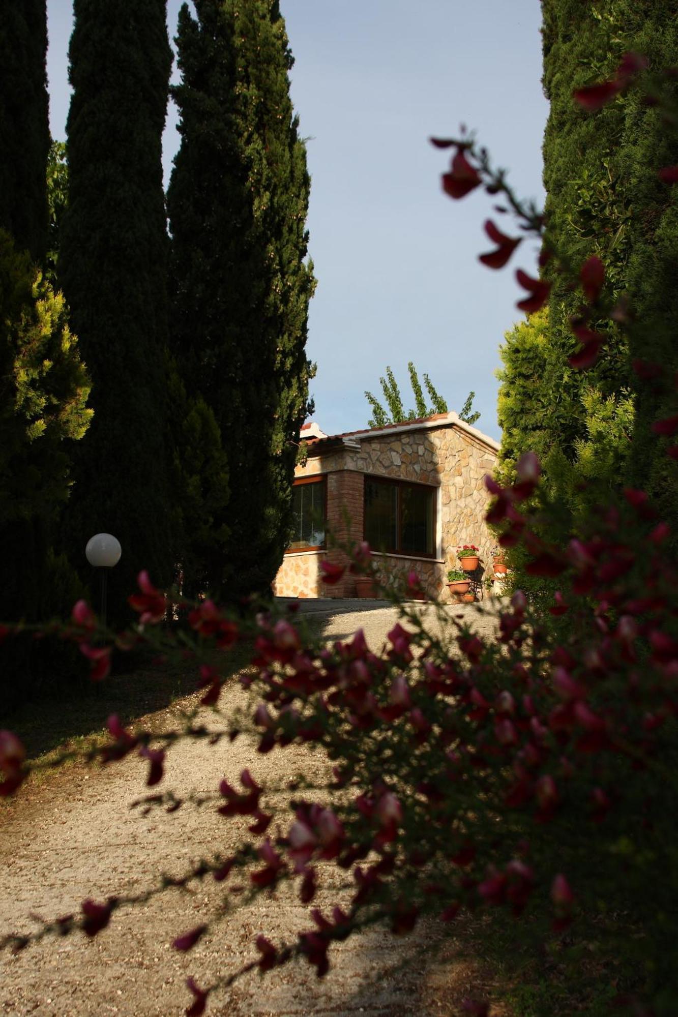 Agriturismo Poggio Del Drago Монтемерано Экстерьер фото